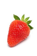 fraise sur fond blanc