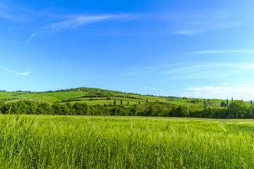 Obraz premium Countryside landscape around Pienza Tuscany