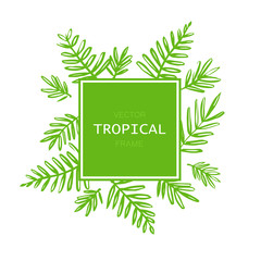 Tropical abstract vector border with palm leaves. Exotic tree foliage made in brush style with place for your text.