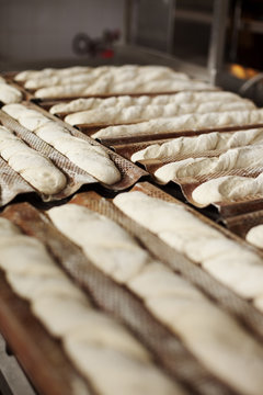 Baguettes being baked in bakery