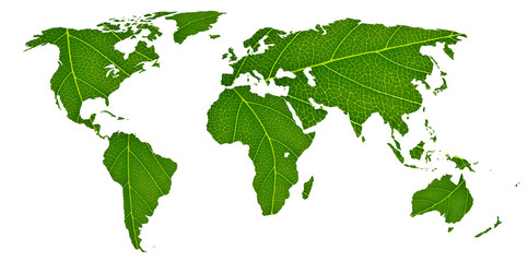 eco world map made of green leaves, concept ecology