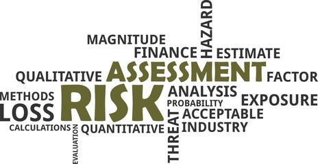 word cloud - risk assessment