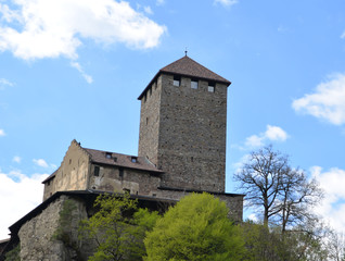 Fototapeta na wymiar Burg Tirol 04