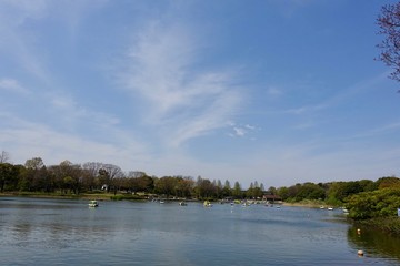 春の昭和記念公園