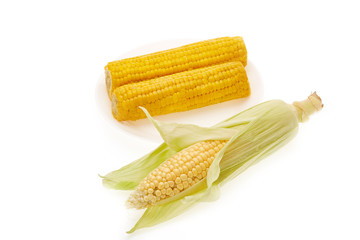 Fresh and boiled ears of corn. .