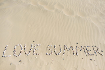 Sea shells on sand. Summer beach background. Top view