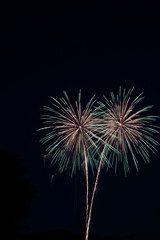 Fototapeta na wymiar twin fireworks