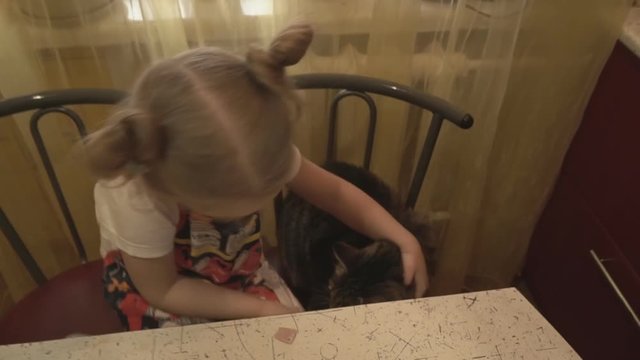 The girl in the kitchen feeding her cat