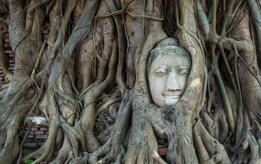 Buddha Head in Tree Wat MahaThat, Ayutthaya, Thailand