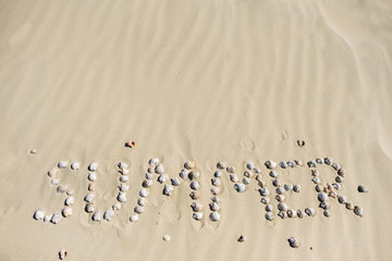 Sea shells on sand. Summer beach background. Top view