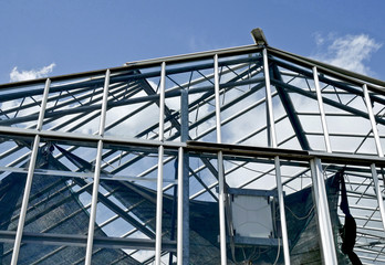 The structure of an old greenhouse for agricultural use. 