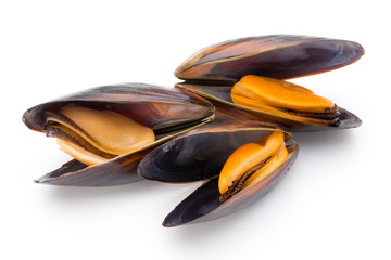 Mussels isolated on white background. Sea food.