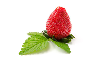 Erdbeeren