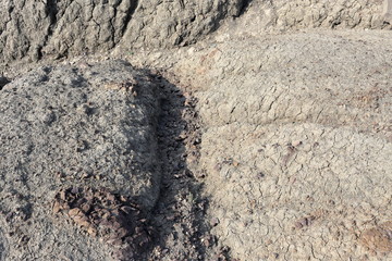 Dry soil close-up, reliefs