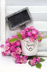  small pink roses in a white pot and plate for text
