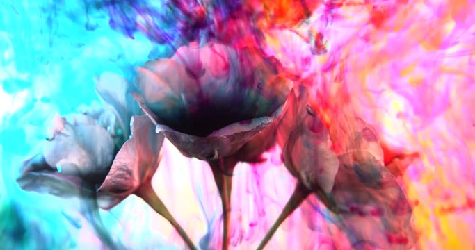 Vibrant colorful springtime background with blossom in full color