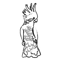 cockatoo tropical bird icon image vector illustration design 