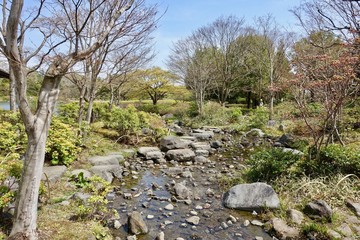昭和記念公園の日本庭園