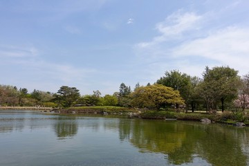 Fototapeta na wymiar 昭和記念公園の池