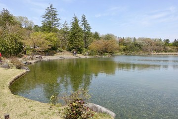 Obraz premium 昭和記念公園の日本庭園