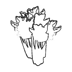 lettuce vegetable icon image vector illustration design 