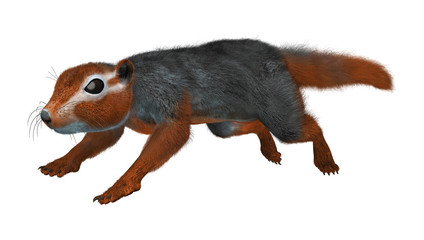 3D Rendering Red Bush Squirrel on White