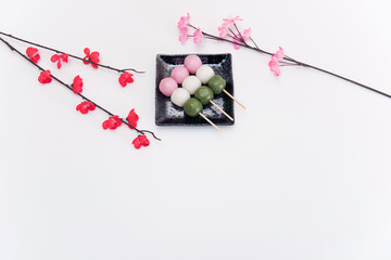 High angle view on Japanese Three Color Dango Dumplings on white background