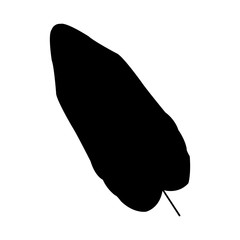 single leaf icon image vector illustration design  black silhouette