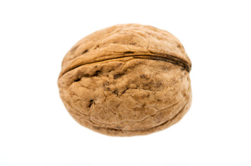 Walnut on white background, isolated
