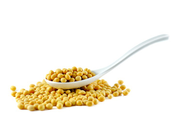 soybean on white background