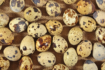 Quail eggs in a sacking background