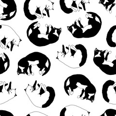 Black and white sleeping cats. Seamless pattern on white background.