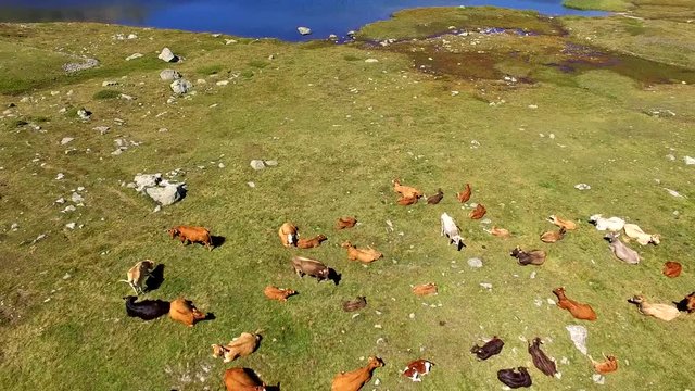 Aerial 4K - Siesta