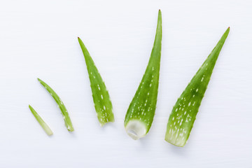 Different size of aloe vera leaves on white wooden background. Skin care ingredients and rejuvenation concept aloe vera leaves  with flat lay and copy space.