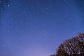 Nocturnal looks. The sky and the stars