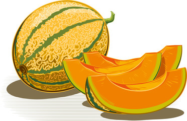Whole melon and two slices on a white background. - obrazy, fototapety, plakaty