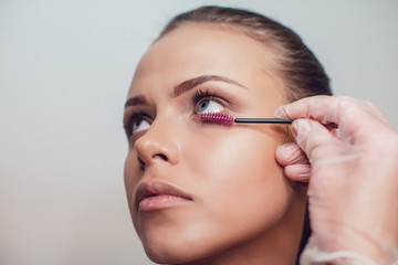 Fototapeta premium Professional make-up artist makes eye makeup of model. Beauty and fashion concept. Close up.