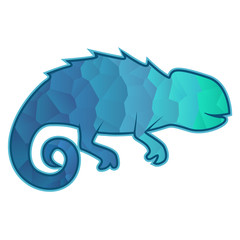 Blue triangulate chameleon