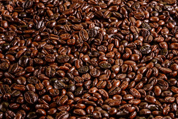 coffee bean pattern texture