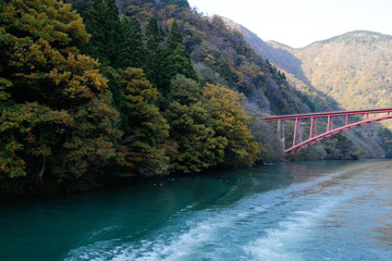 Obraz na płótnie Canvas River and autumn leaves, mountain and red bridge