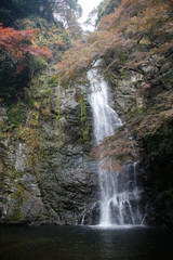 Fototapeta na wymiar 秋の箕面の滝