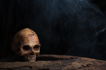 Still life photography with human skull