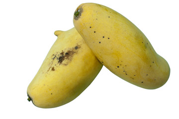 Yellow ripe mango