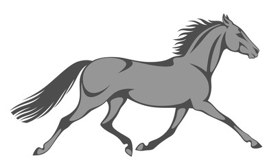 Gray horse trotting a white background