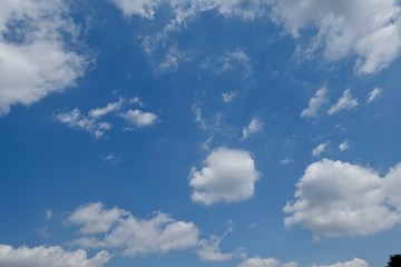 Obraz premium 青空