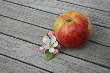 red apple on wooden table