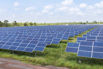        solar panels  in power station alternative energy from the sun 