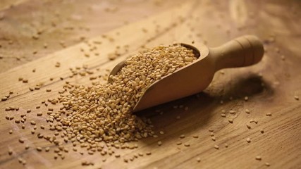 sesame seeds falling in a wooden spoon