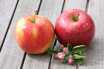 apples on wooden table