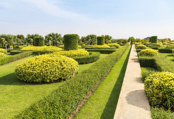 Obraz premium shrub trimming ornamental in public green park and grass field under blue sky 